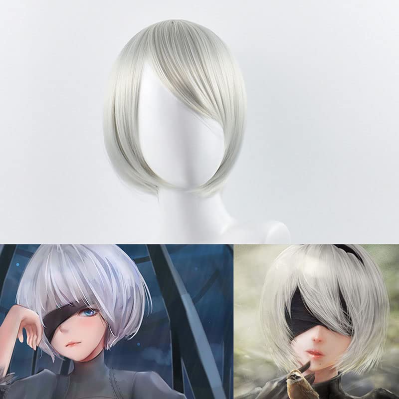 Short Sliver Cosplay Wigs for  - đánh giá và giá Men'S Accessories Types